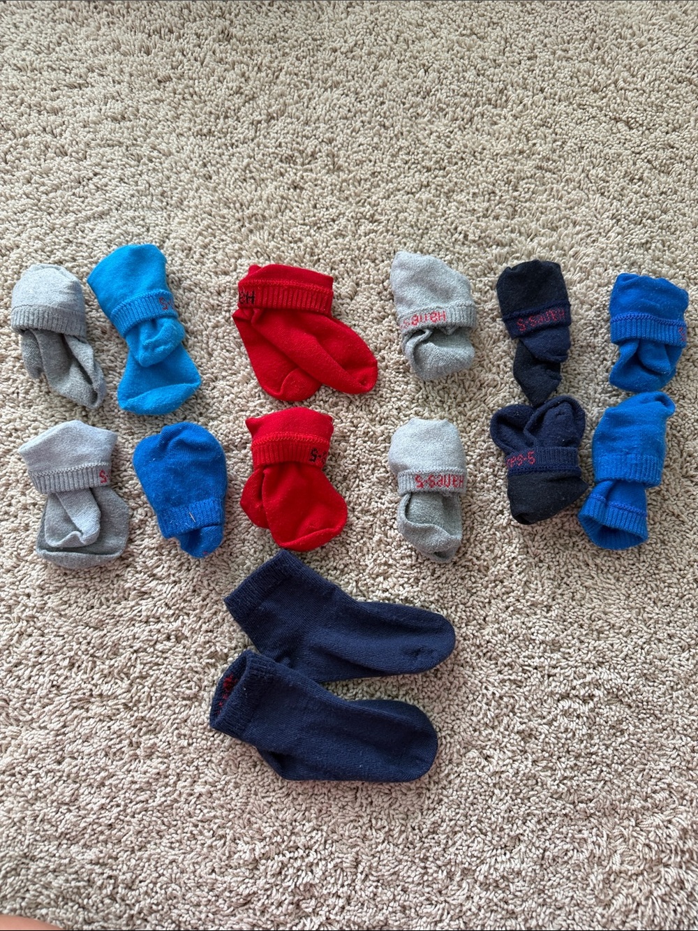 13 pairs - Hanes Toddler Short Crew Socks Pack in Gray, Navy & Red Bright Blue